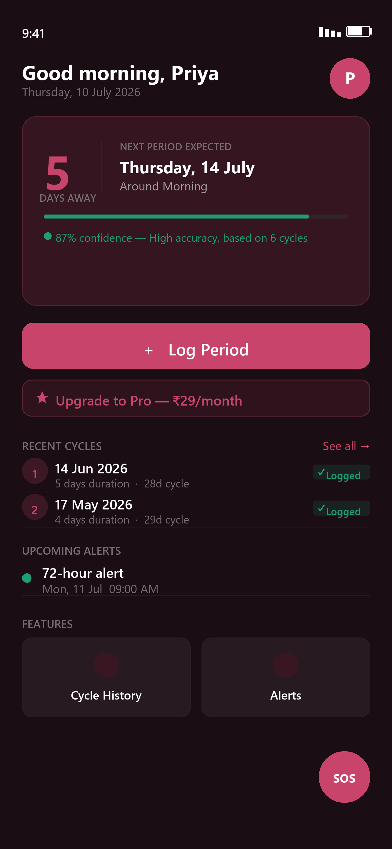 Sakhi AI — Home Dashboard